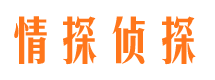 佛冈市私家侦探